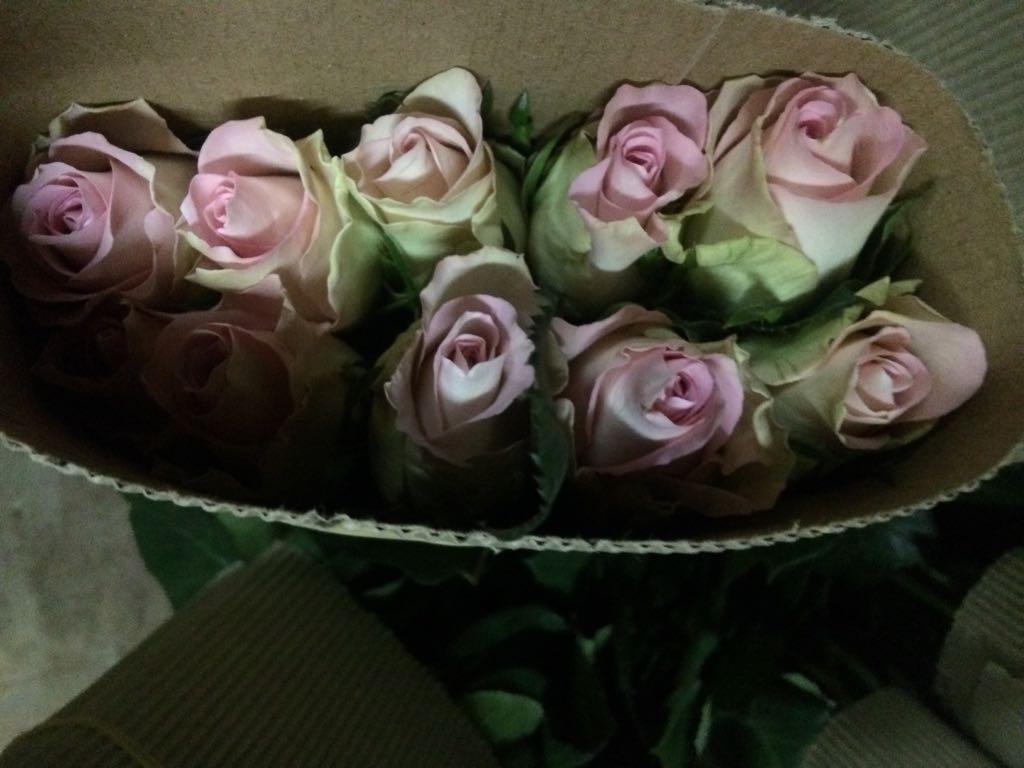 Luxury Wedding Table Setting with Purple Lighting